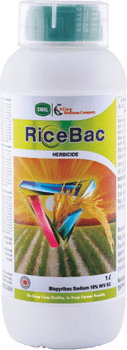 Ricebac