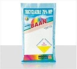 Indofil's BAAN