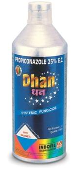 Dhan
