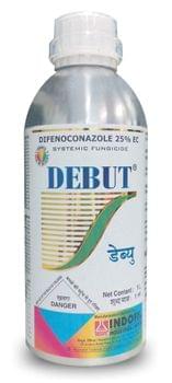 Debut