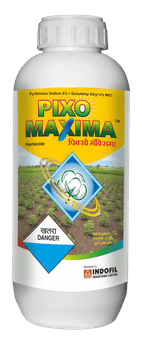 Pixo Maxima