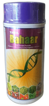 Tata Bahaar