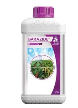 Barazide