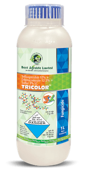 Tricolor