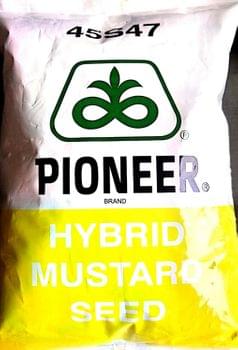 Pioneer 45S47