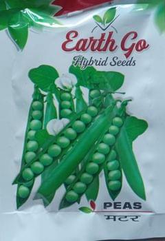 Hybrid Seeds Peas