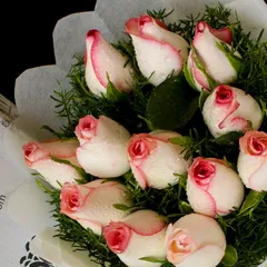 12 Pink Rose Paper Pack