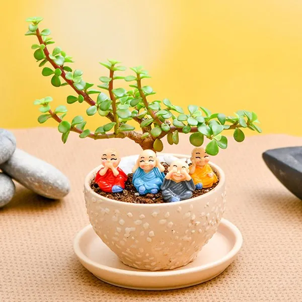 Celebrate Auspicious Occasions With Jade Plant And Cute Monks