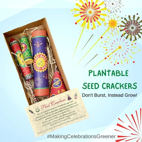Plantable Seed Crackers Set of 5