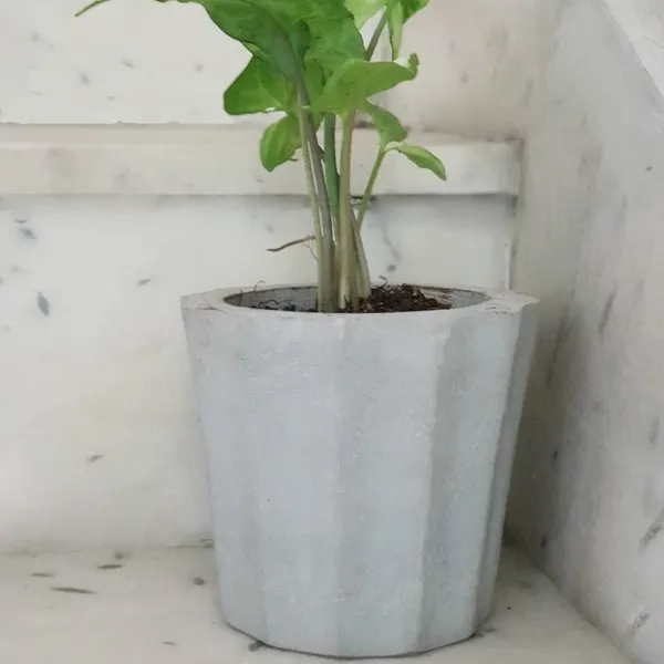 Potivo Concrete Planter Pot