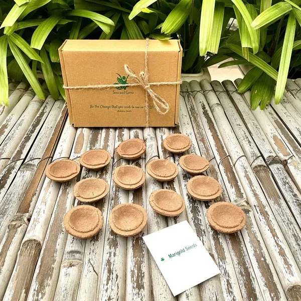 Organic Cow Dung Diyas: Set of 24 with a pack of Marigold Seeds | First Use, Then Grow | Diwali Special
