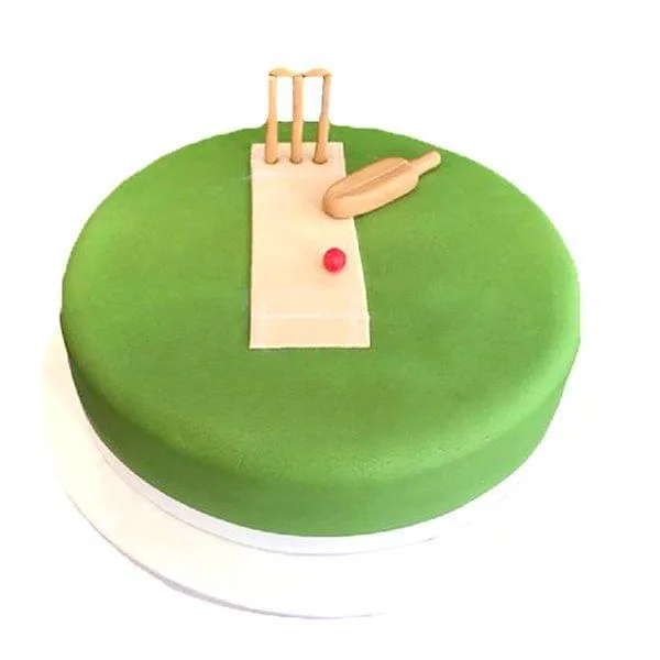 Cricket Ground Theme Cake