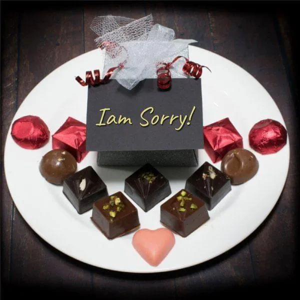 I'm Sorry! (Box of 20)