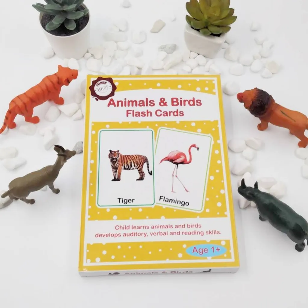 Animals & Birds Flash card