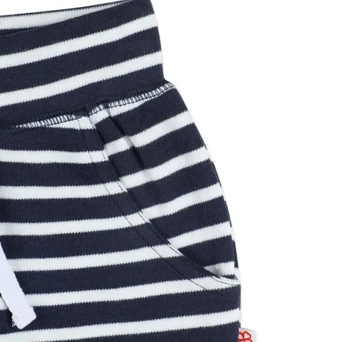 Greendigo Nautical Shorts with Back Pocket