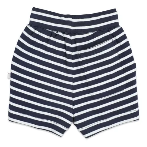 Greendigo Nautical Shorts with Back Pocket