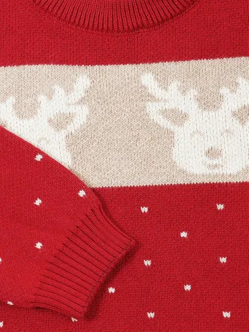 Greendeer Penguine and Reindeer Sweater and Lower - Navy and Red