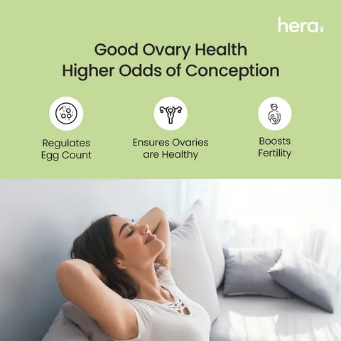 Hera Enrich Eggs - Fertility and Egg Count - Coenzyme Q10 and Antioxidants - 30 Capsules