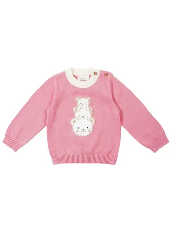 Greendeer Adorable Bear Family and Wisker Jacquard Sweater Combo 100% Cotton Skin Friendly - Multicolor