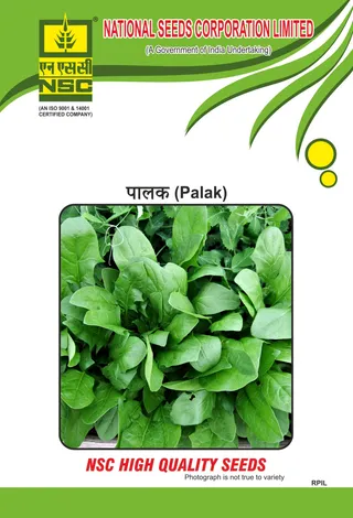 Crop: NSC Palak, Vareity: All Green 500gm