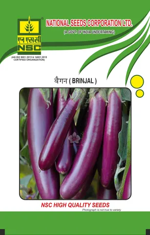 Crop: NSC Brinjal, Variety: Pusa Shyamala 100gm