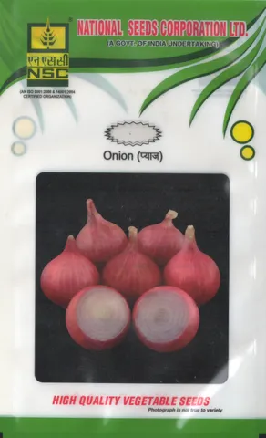 Crop: NSC Onion, Variety: AFLR 500gm
