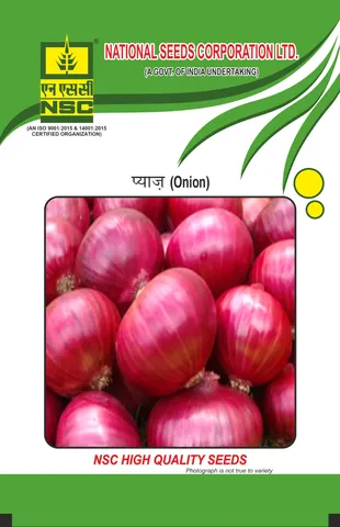 Crop: NSC Onion, Variety: Bhima Super 500gm
