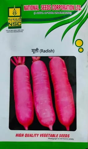 NSC-Crop-RADISH-Variety-Kashi Lohit