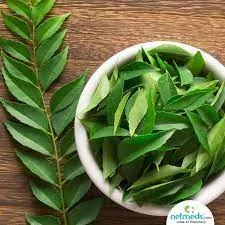 Curry leaves 1 bunch