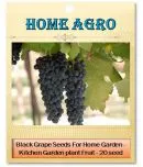 homeagro - Fruit Seeds ( 20 seeds )