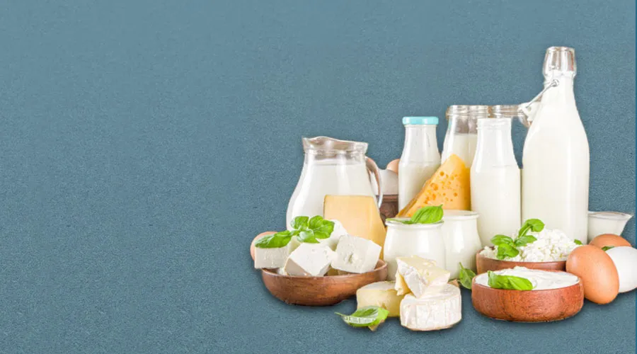 The best dairy products at your doorsteps