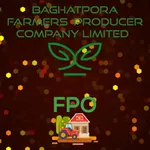BAGHATPORA FARMERS  PRODUCER COMPANY LIMITED