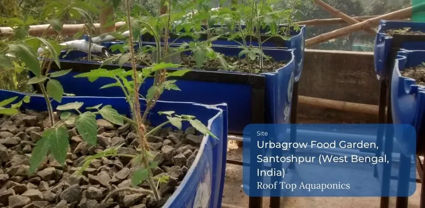 UrbaGrow Roof Top Aquaponics Execution Banner
