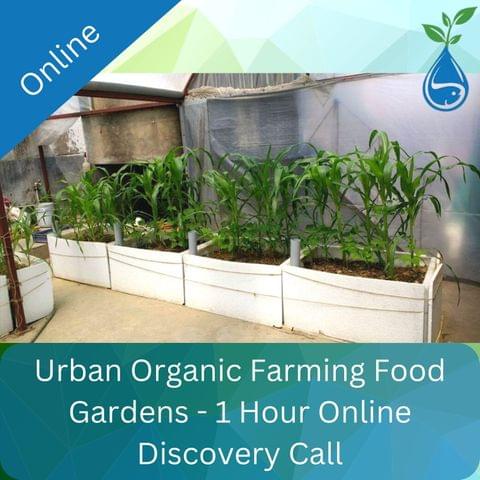 Urban Organic Farming Food Gardens - 1 Hour Online Discovery Call (Individual General Sustainability)