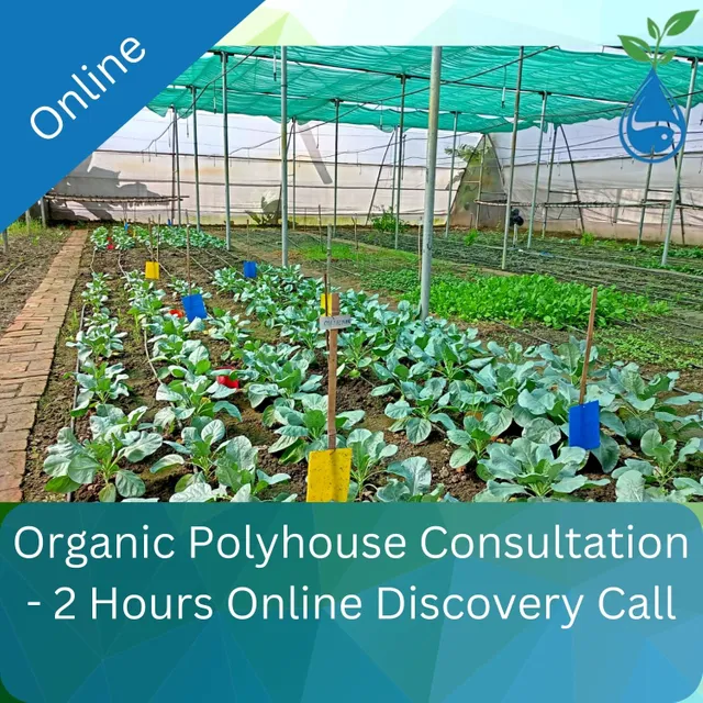 Organic Polyhouse Consultation - 2 Hours Online Discovery Call