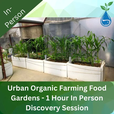 Urban Organic Farming Food Gardens - 1 Hour In Person Discovery Session (Individual General Sustainability)