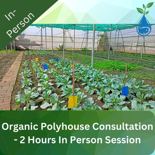 Organic Polyhouse Consultation - 2 Hours In Person Session