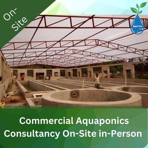 Commercial Aquaponics Consultancy On-Site in-Person Person Discovery Session
