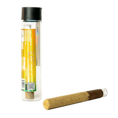 Coast Smokes HHC+D8+CBG 2g Cannagar Zkittles