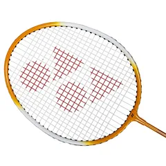 Yonex GR 303 Aluminium Blend Badminton Racquet with Full Cover, Set of 2 (Yellow/Yellow)