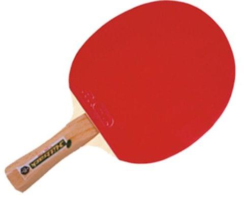 GKI Wood Hitback Table Tennis Racquet